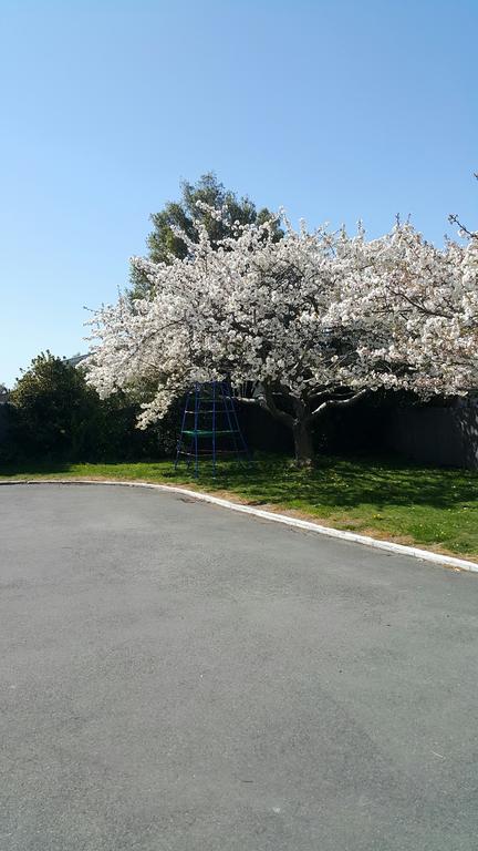 Lilybrook Motel Rangiora Exterior photo